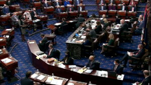 The US Senate advances Russian energy sanctions (News Central TV)