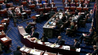 The US Senate advances Russian energy sanctions (News Central TV)