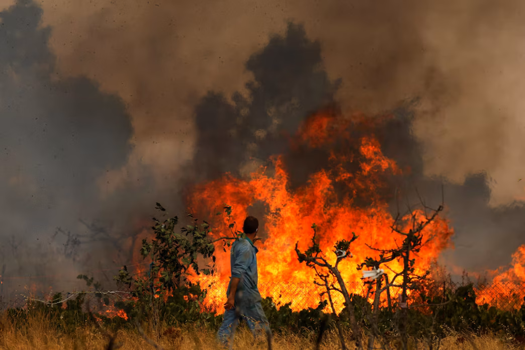 Wildfire (News Central TV)