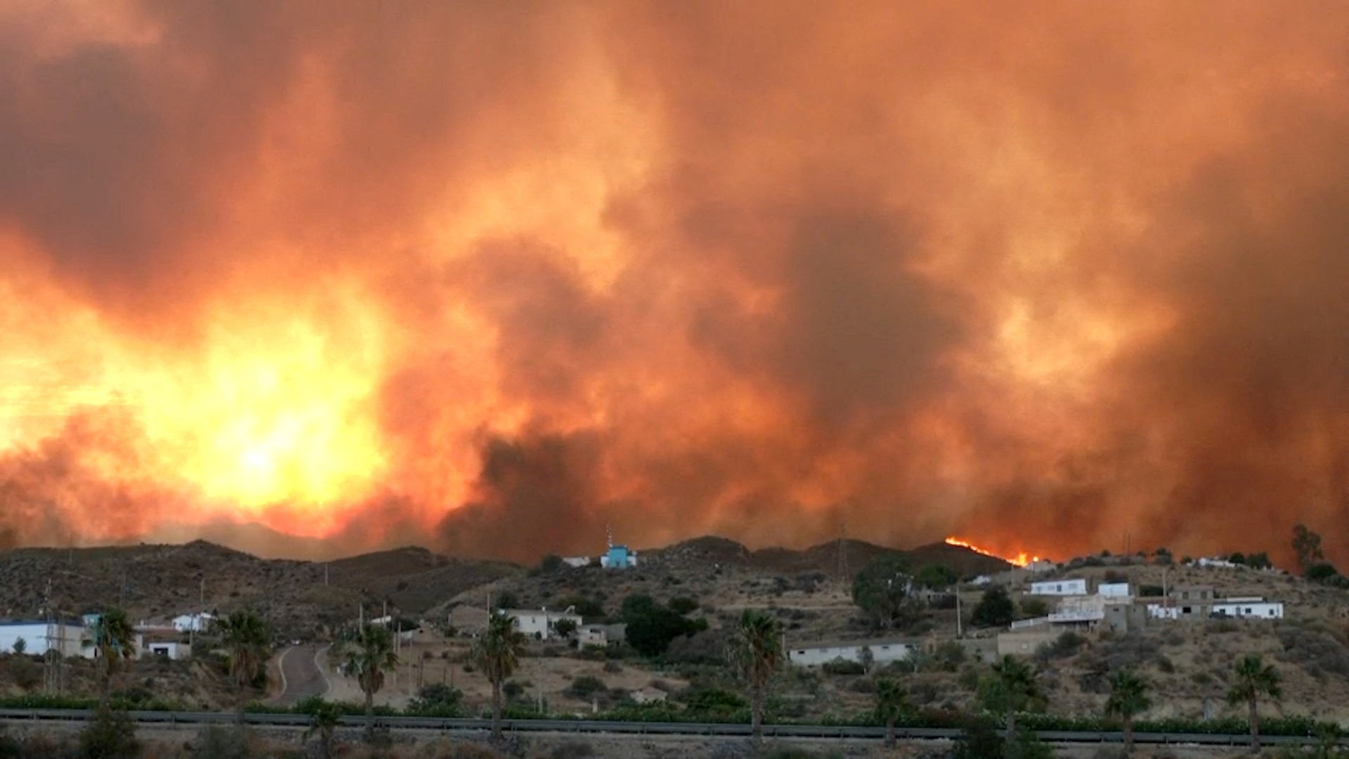 Wildfire (News Central TV)
