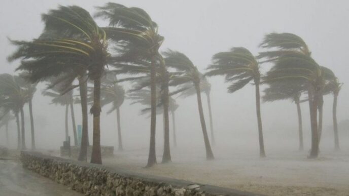 Jigawa Windstorm Kills Seven