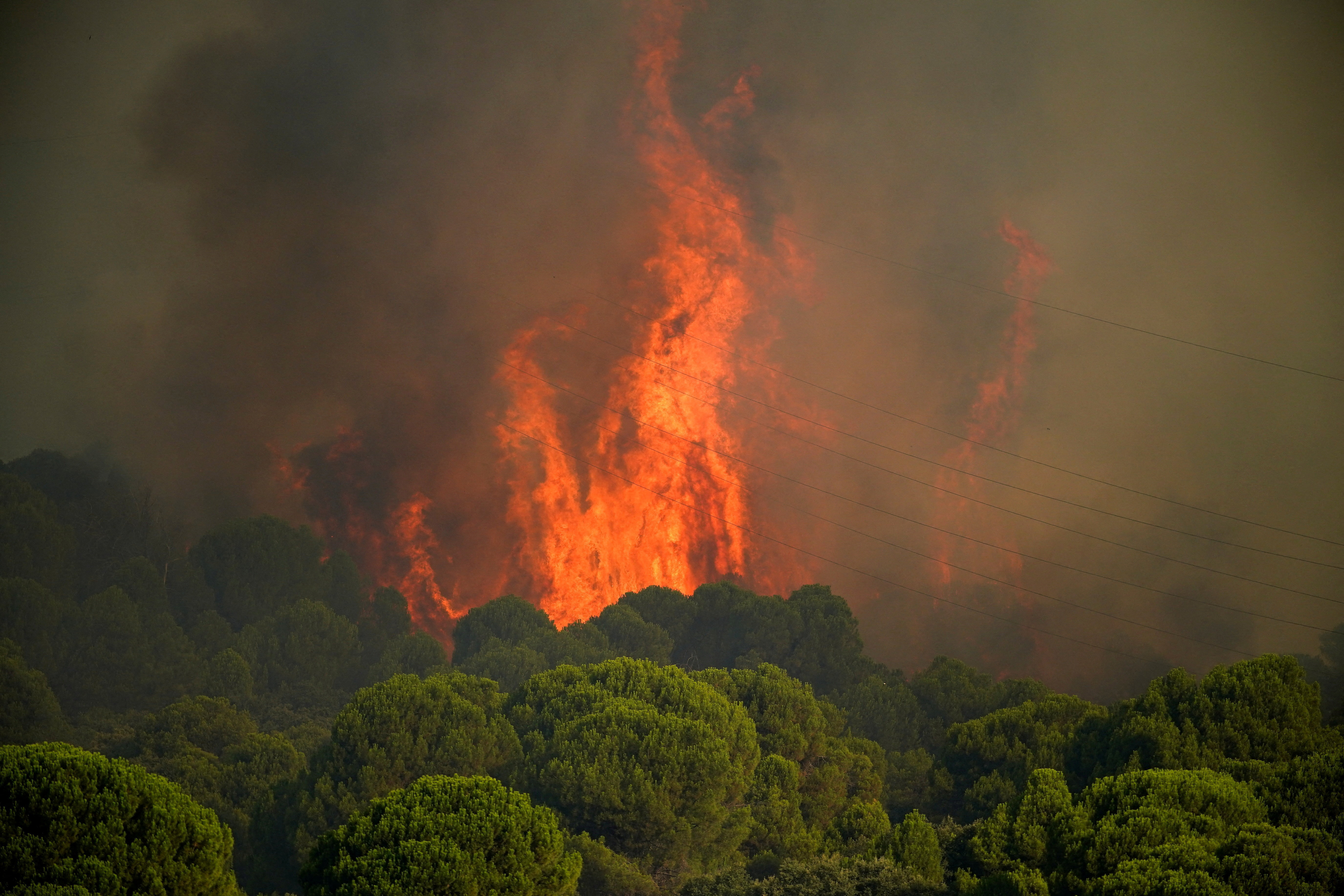 Wildfires (News Central TV)