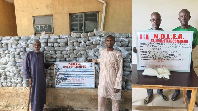 NDLEA Arrests Elderly Woman Over Cocaine Smuggling