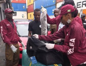 NDLEA Arrests South African Woman With Heroin