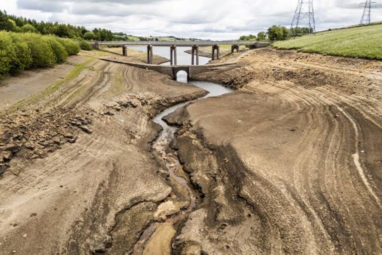 Over Half of England Officially Declared in Drought