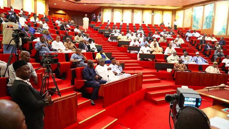 Senate (News Central TV)