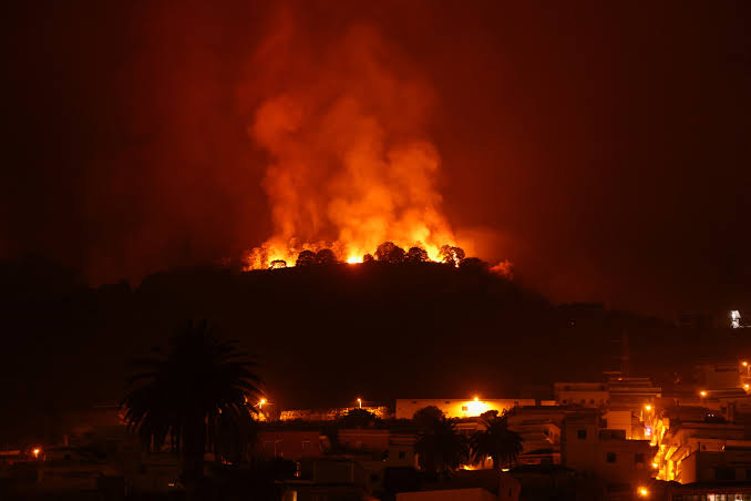 Wildfire (News Central TV)