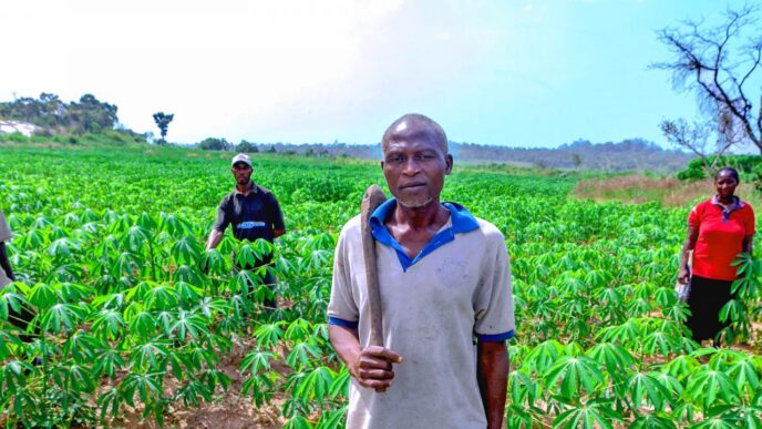 Irregular Rainfall Threatens Jigawa Farmers' Harvests (News Central TV)