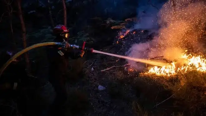 15-Year-Old Held Over Fatal France Forest Fire (News Central TV)