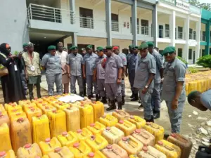 Customs Intercept ₦362Million Smuggled Goods (NewsCentral TV)