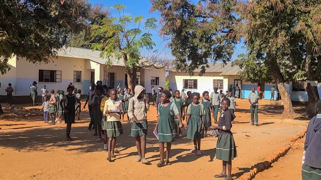 How Cotton Farming Keeps Rural Zambian Children In School