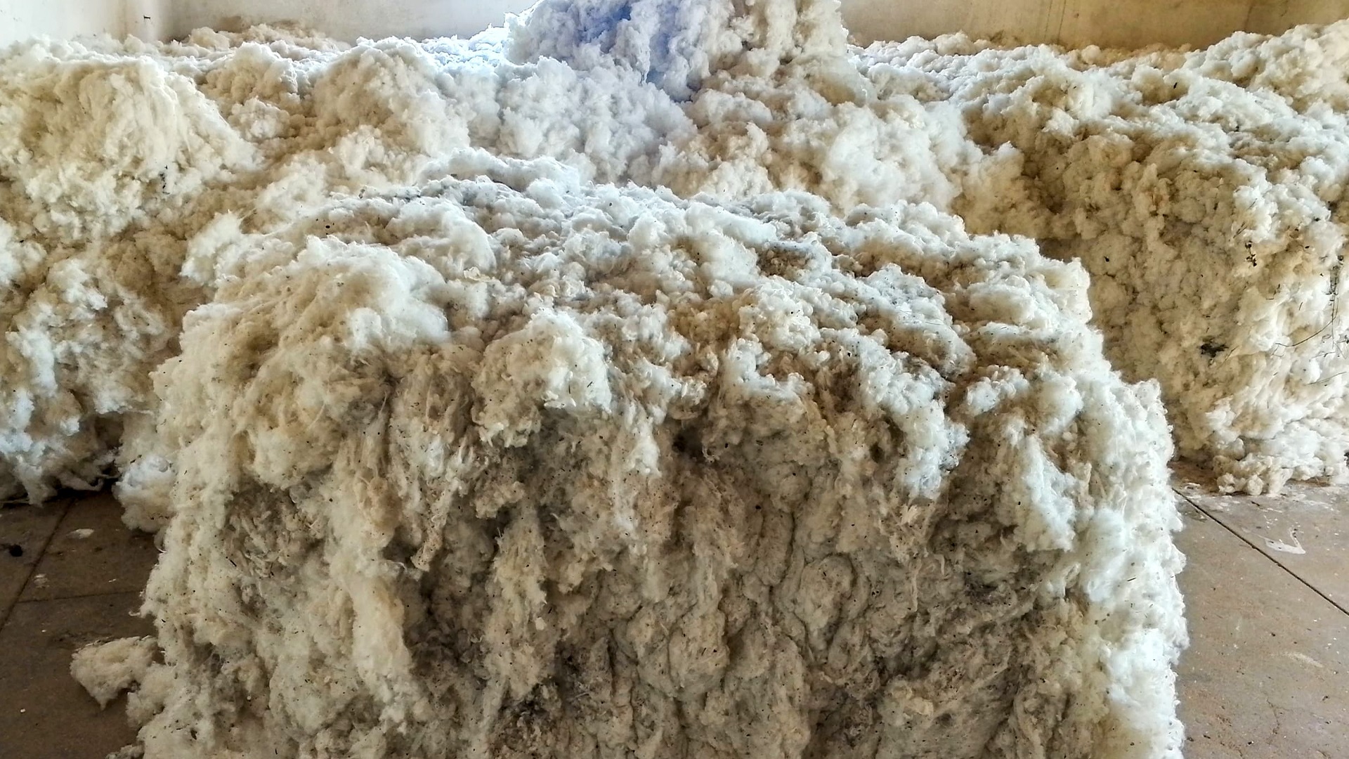 How Cotton Farming Keeps Rural Zambian Children In School