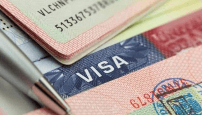 No Visa Ban on Nigerians: The Truth Cuts Through the Nose