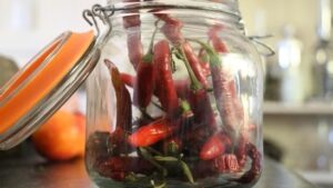 US Salmonella Outbreak Traced to Mexican Jalapeños