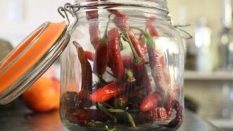 US Salmonella Outbreak Traced to Mexican Jalapeños