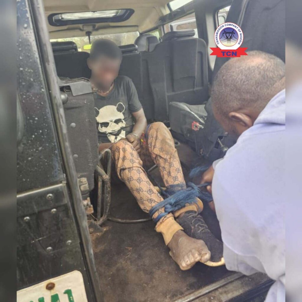 Vigilantes Arrest Suspected Power Infrastructure Vandal (News Central TV)