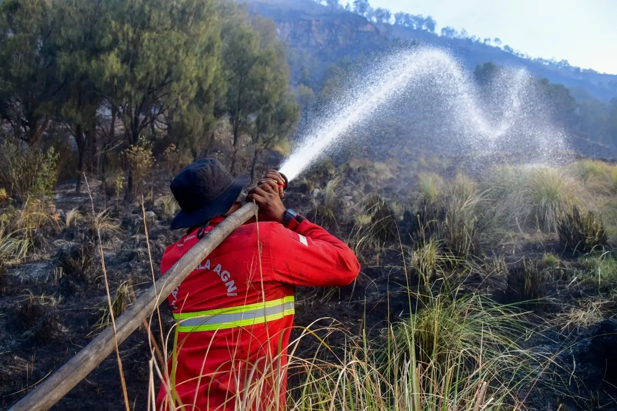 Indonesia Closes National Park as Wildfire Spreads