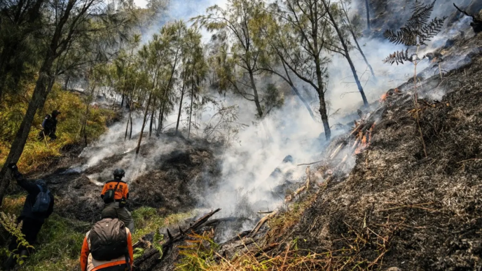 Indonesia Closes National Park as Wildfire Spreads