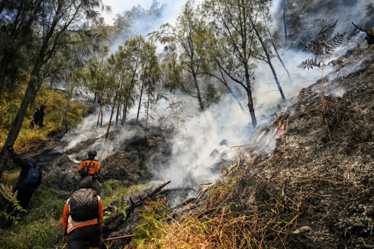 Indonesia Closes National Park as Wildfire Spreads