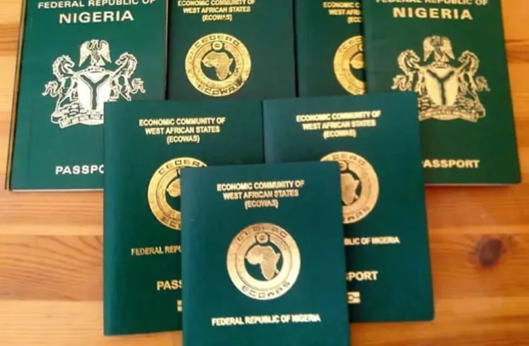 NIS Enrols 8,552 Nigerians for Passports Abroad