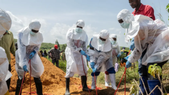Ebola Cases