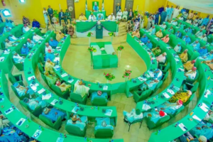 Kano Assembly Seeks Yusuf’s Urgent Diphtheria Intervention (NewsCentral TV)