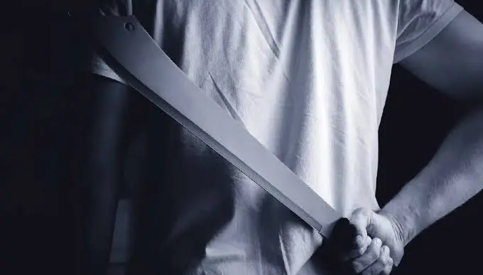 Machete Attack (News Central TV)