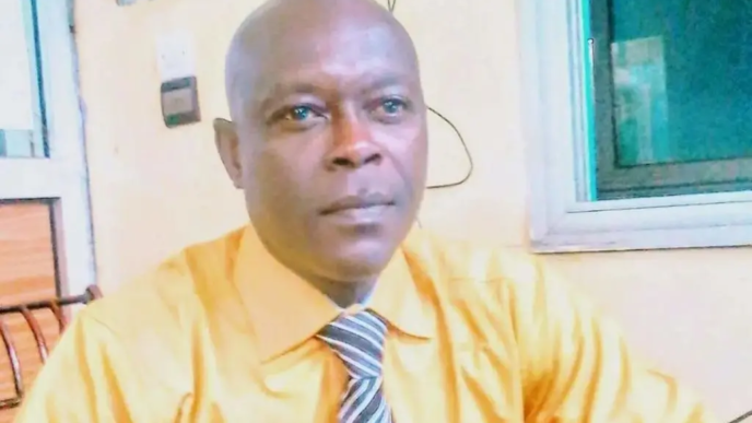 Niger Journalist Freed After Ten Months Behind Bars (News Central TV)