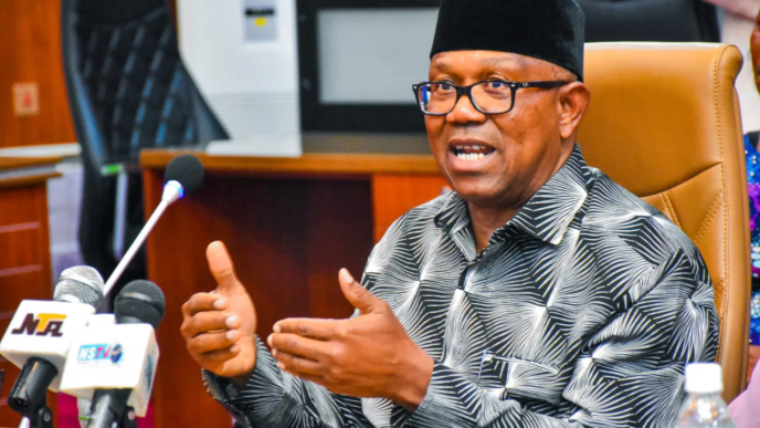 Obi Backs Subsidy Removal, Demands Accountability (NewsCentral TV)