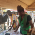 Osun Decides Sorting, Counting of Votes Begin in Osogbo