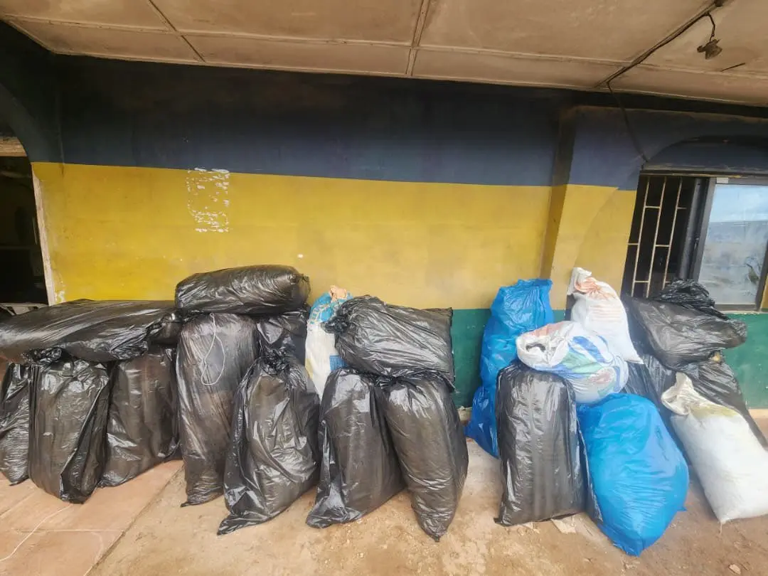 Police Recover 21 Bags of Cannabis in Delta (News Central TV)