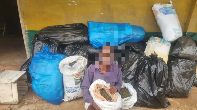 Police Revcover 21 Bags of Cannabis in Delta (News Central TV)