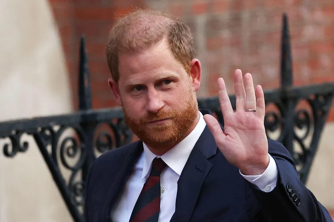 Prince Harry Resigns From African Parks Board
