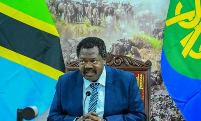 Tanzania Vice President Nchimbi Announces Resignation