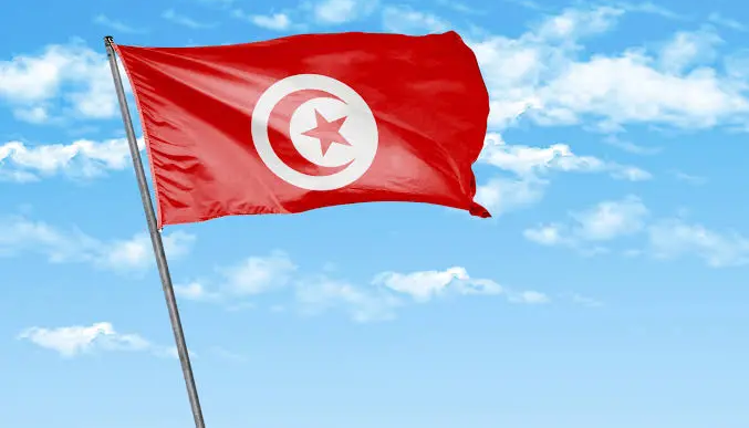 Tunisia Flag (News Central TV)