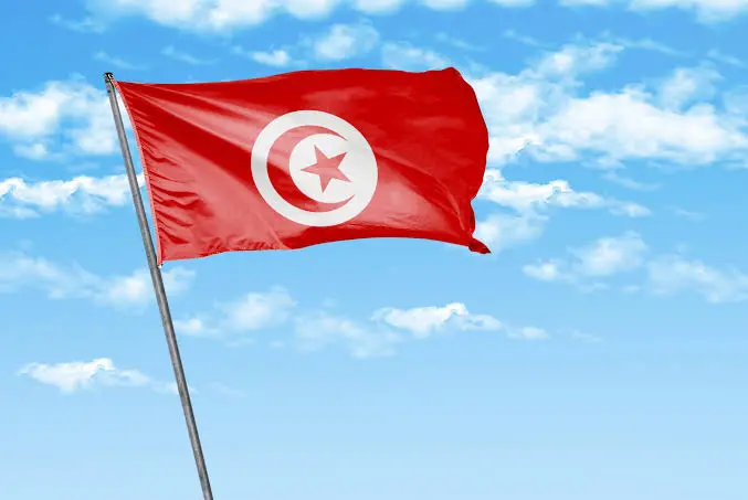 Tunisia Flag (News Central TV)