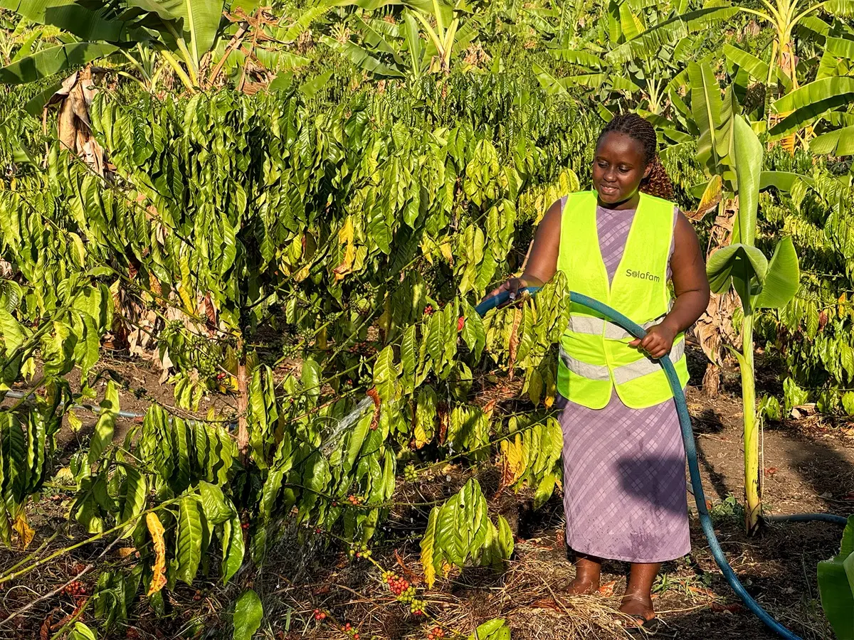 Ugandan Innovator Turns Tomato Waste Into Opportunity (News Central TV)
