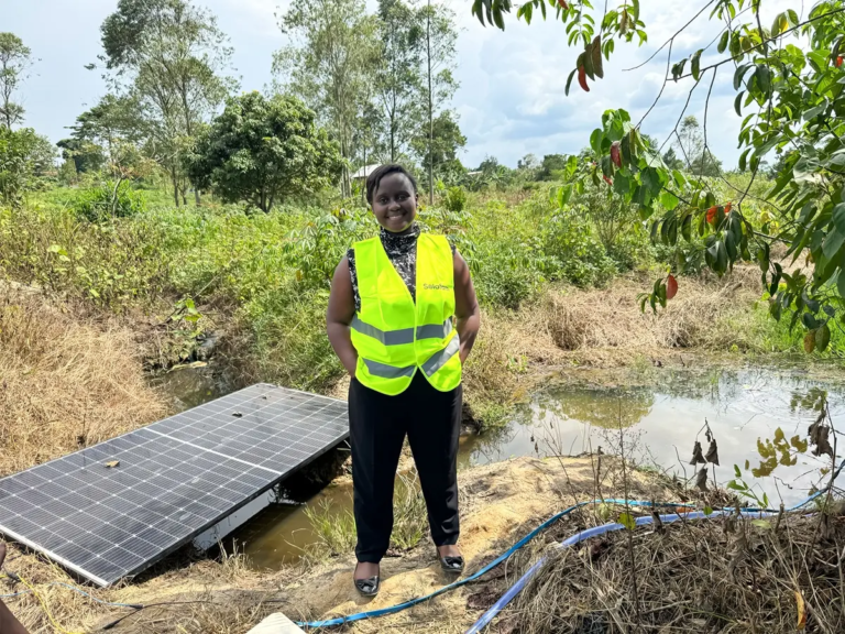 Ugandan Innovator Turns Tomato Waste Into Opportunity