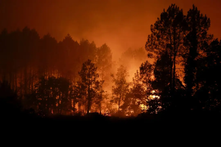 New Wildfire Evacuates Over 500 in France