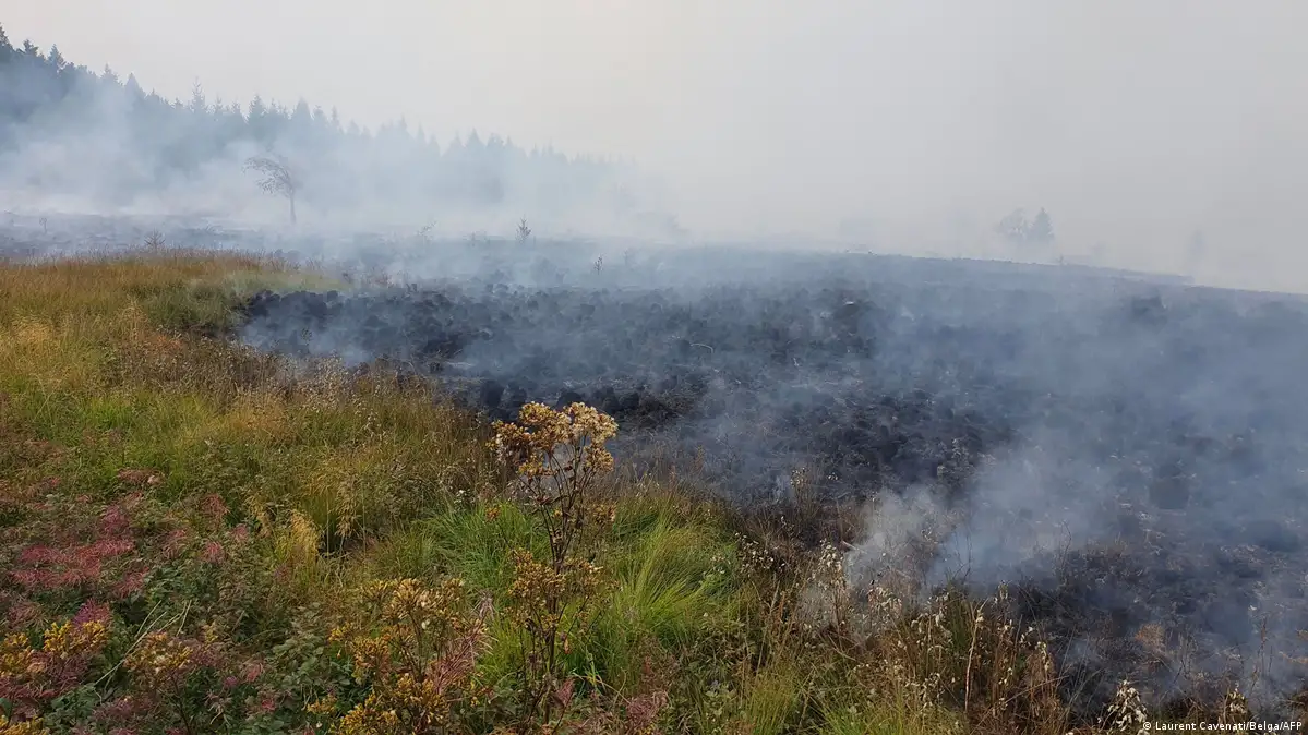 Belgium Seeks Air Support as Wildfire Spreads