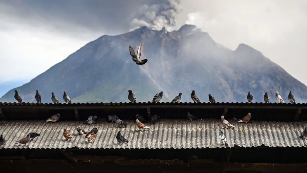 - Pigeons are seen in front of Mount Sinabung as it spews ash and thick smoke as seen from Karo, North Sumatra province early on September 2, 2026.