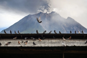 - Pigeons are seen in front of Mount Sinabung as it spews ash and thick smoke as seen from Karo, North Sumatra province early on September 2, 2026.