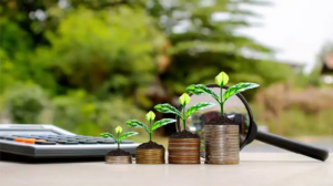 Africa Seeks Climate Finance At UNGA