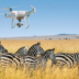 Africa Turns to Technology to Track Wildlife Populations (News Central TV)