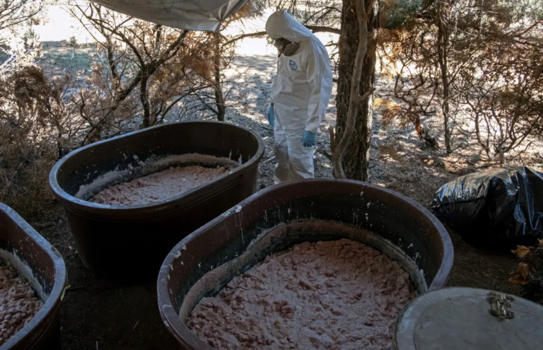 Mexican Cartels Push Meth Into Australia via Africa