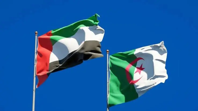 Algeria Cuts Ties With UAE Over ‘Interference’ (News Central TV)