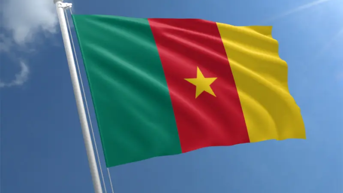 cameroon-flag-std