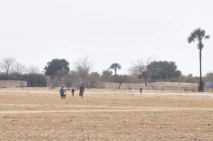 Drought forces Angolans to flee to Namibia (News Central TV)