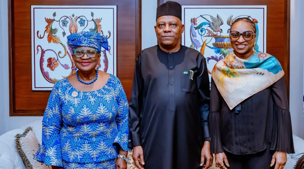 Nigeria Reaffirms Support for WTO at BRICS Summit