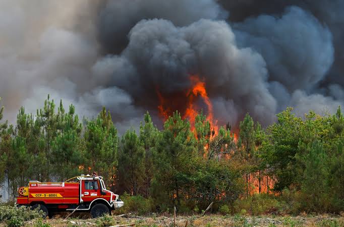 Historic French wildfire fully extinguished (News Central TV)